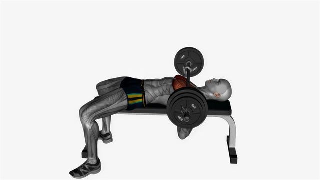 Barbell Bench Press, position de départ du mouvement, sur une silhouette anatomique dont le muscle sollicité est coloré en rouge.