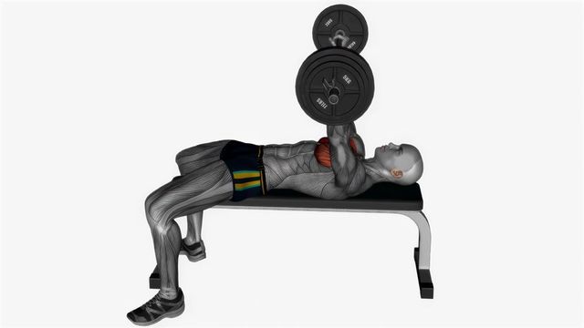 Barbell Bench Press, position finale du mouvement, sur la même silhouette, muscle sollicité coloré en rouge.