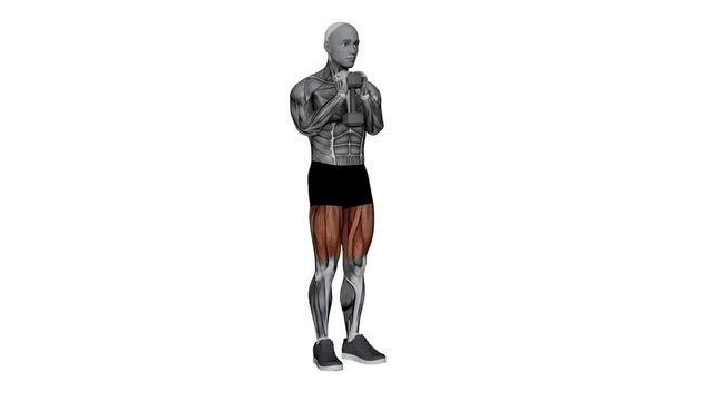 Dumbbell Goblet Forward Lunge, position de départ du mouvement, sur une silhouette anatomique dont le muscle sollicité est coloré en rouge.