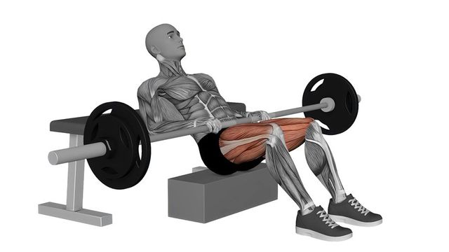 Barbell Hip Thrust, position de départ du mouvement, sur une silhouette anatomique dont le muscle sollicité est coloré en rouge.