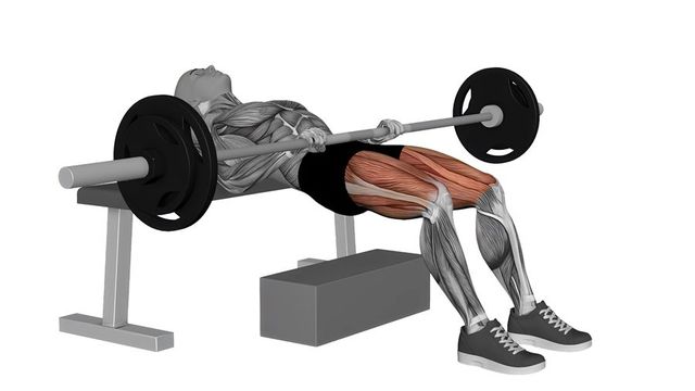 Barbell Hip Thrust, position finale du mouvement, sur la même silhouette, muscle sollicité coloré en rouge.