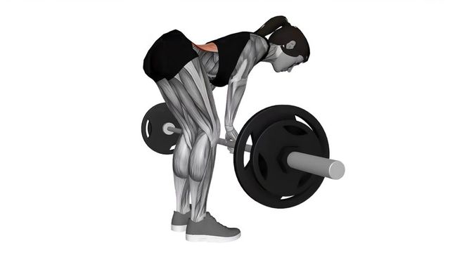Barbell Bent Over Row, position de départ du mouvement, sur une silhouette anatomique dont le muscle sollicité est coloré en rouge.