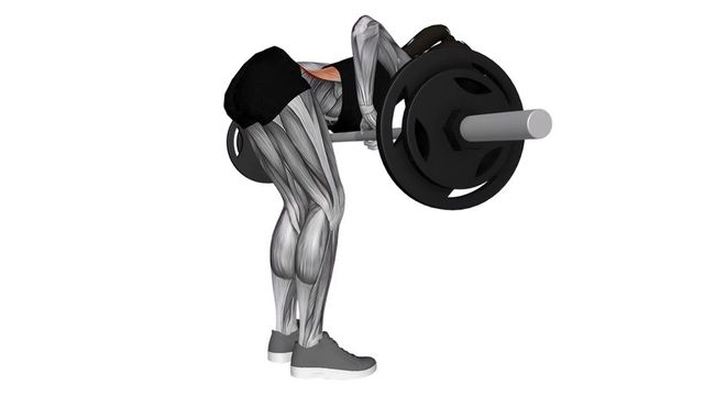 Barbell Bent Over Row, position finale du mouvement, sur la même silhouette, muscle sollicité coloré en rouge.